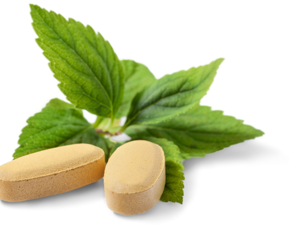 T-cells, เซลล์ T, ภูมิคุ้มกัน, มะเร็ง, สมุนไพร, บำบัด, เซลล์นักฆ่า, ฟื้นฟูร่างกาย (19)